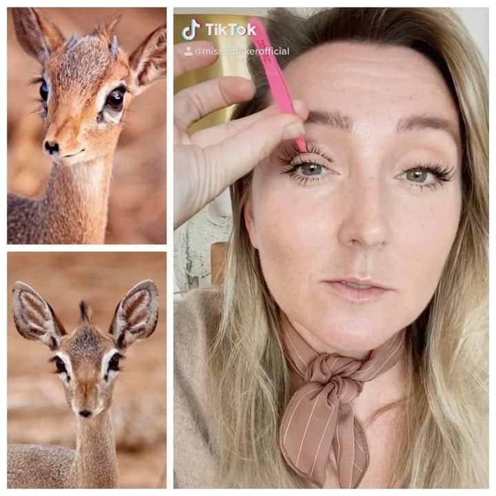 JO BAKERのインスタグラム