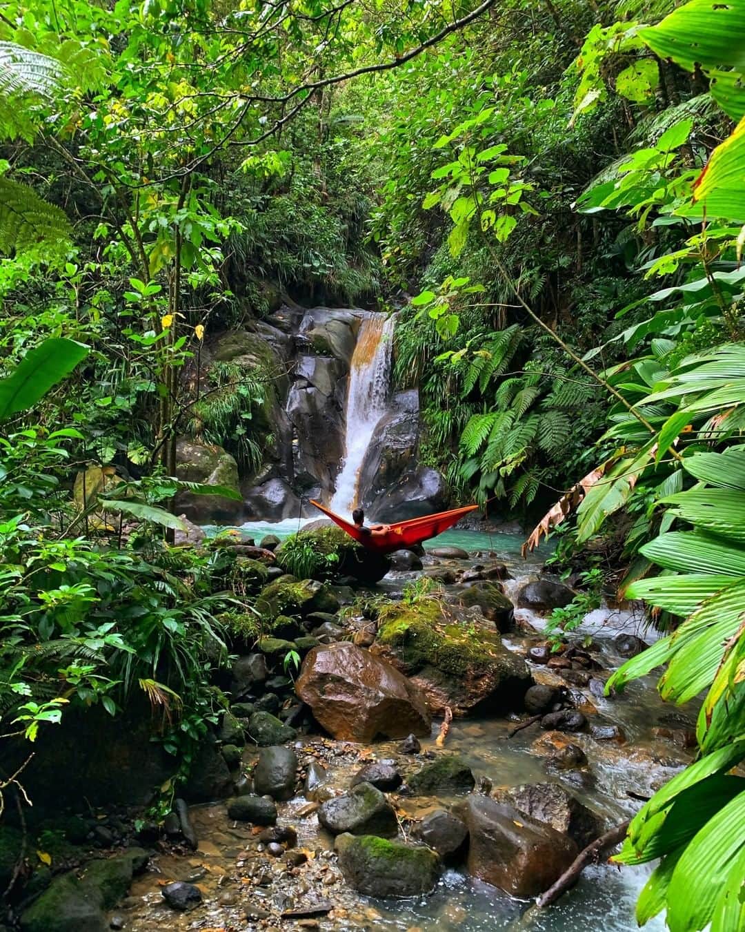 のインスタグラム：「Planning for a sunny trip doesn’t just mean sandy beaches. In Guadeloupe it’s pristine paths, lush greens, sparkling waterfalls, and maybe a hammock to hang out in too.  📸: @maxxime_gautier . . Les vacances au soleil ne sont pas uniquement synonymes de plage. En Guadeloupe, vous pouvez aussi trouver des sentiers naturels, des forêts luxuriantes, des cascades d’eau limpide et, pourquoi pas, un endroit tranquille où vous détendre dans un hamac.  📸: @maxxime_gautier」