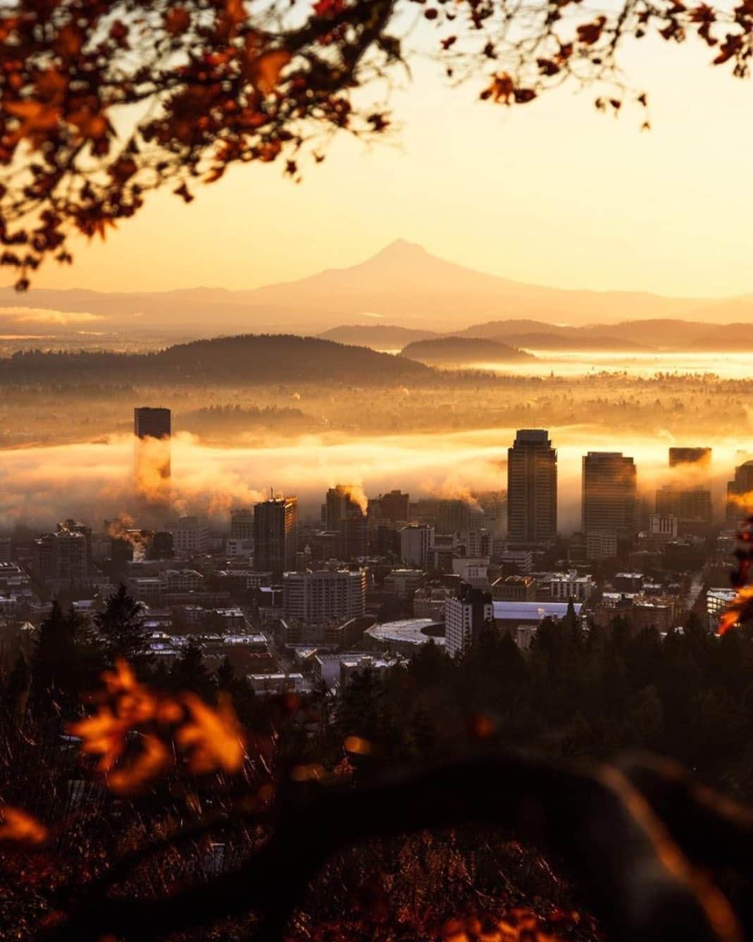 Portlandさんのインスタグラム写真 - (PortlandInstagram)「We love you Portland💛 - 📷: @danfauss  #Portland #PortlandNW #PDX #OregonNW」12月3日 3時21分 - portland