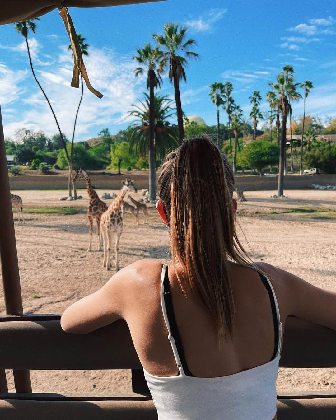 ジョセフィン・スクリヴァーさんのインスタグラム写真 - (ジョセフィン・スクリヴァーInstagram)「Had the most amazing time at @sdzsafaripark !! Getting up close and seeing the incredible work this stunning zoological sanctuary has done and are still doing was the highlight of my month. Thank you from the bottom of my heart San Diego zoo global for all you do to save wildlife and to contribute to global efforts to save species from all over the world. 🦒🦏❤️#sdzsafaripark」12月3日 3時54分 - josephineskriver