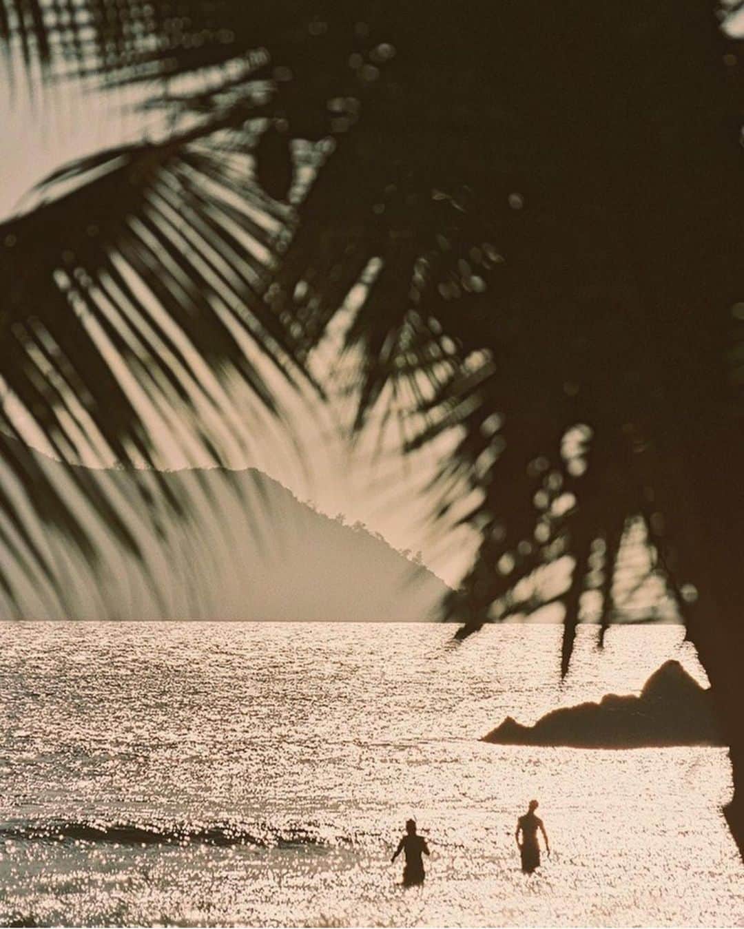フラヴィア・ルチーニのインスタグラム：「Peace 🐬🐠🌴」