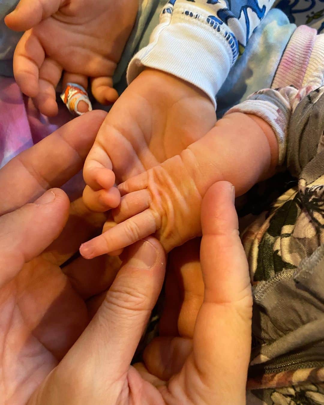 アダム・シャピロのインスタグラム：「We tried to do an artsy family all hands in photo to announce the baby and it was a classic shitshow」