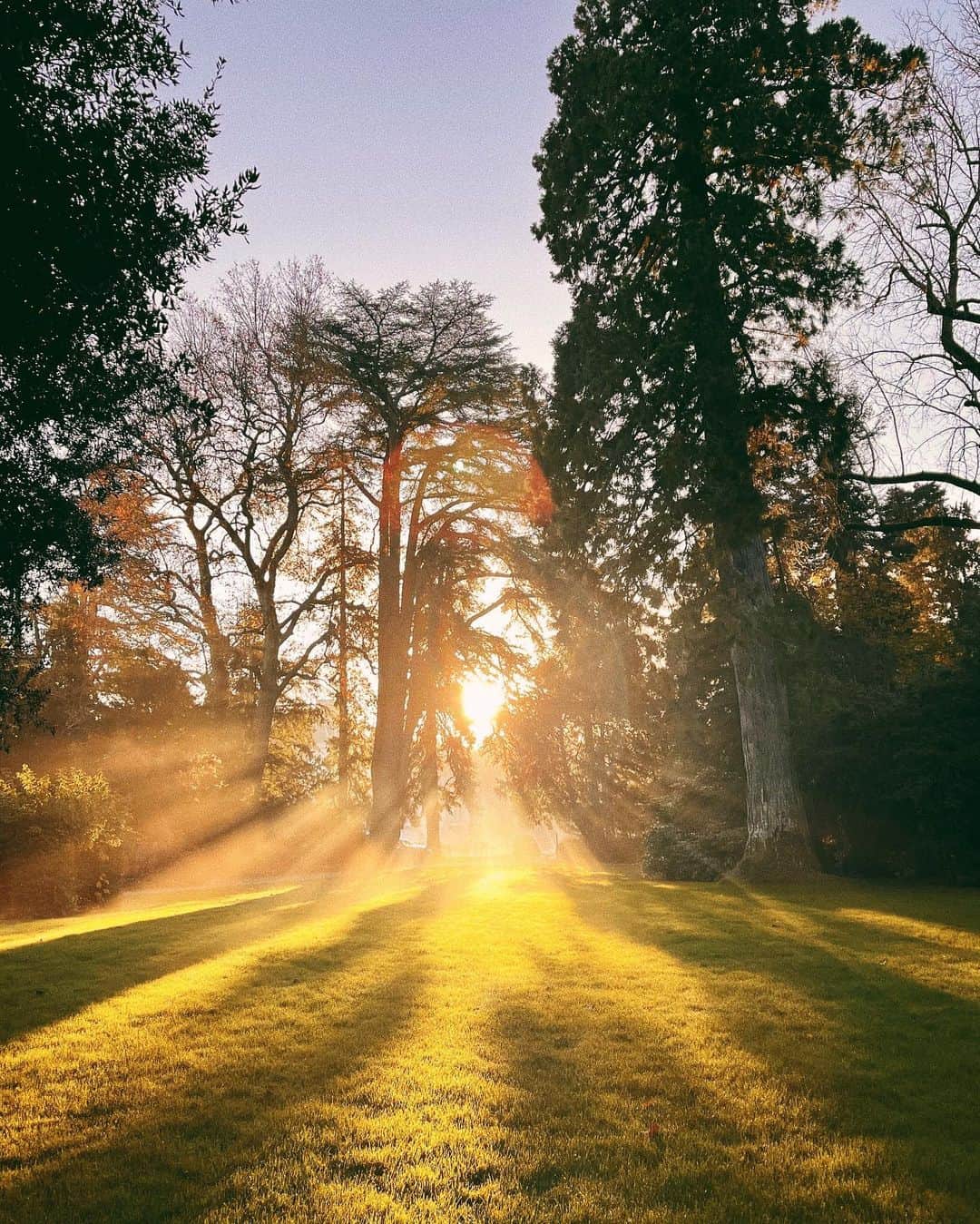 カロリーヌ・ド・メグレのインスタグラム：「Morning light ✨」