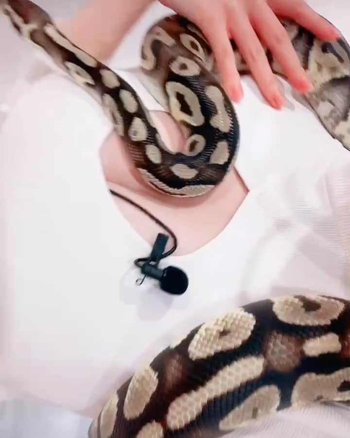 清水あいりのインスタグラム