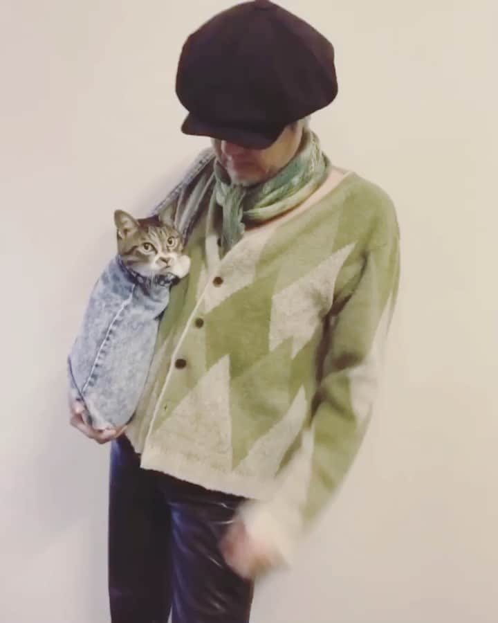 イマイアキノブのインスタグラム：「ᜰ おはよう  明日12/4は池袋新文芸坐に集合  そして 良い映画を観よう  #imaiakinobu  #イマイアキノブ #恐怖奇形人間」