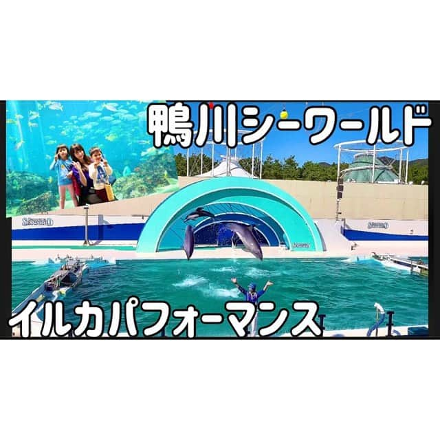 歩りえこさんのインスタグラム写真 - (歩りえこInstagram)「イルカパフォーマンス【鴨川シーワールド】Kamogawa SEA WORLD﻿  ﻿ https://youtu.be/JfqDCuTmBLU﻿ ﻿ 10月の映像です。﻿  ﻿ 海の王者、シャチパフォーマンスの次は華麗なイルカパフォーマンス🐬﻿  ﻿ こんなパフォーマンスができるなんて、凄すぎる。。﻿  ﻿ #鴨川シーワールド　#イルカショー #イルカパフォーマンス﻿」12月3日 5時06分 - riekoayumi