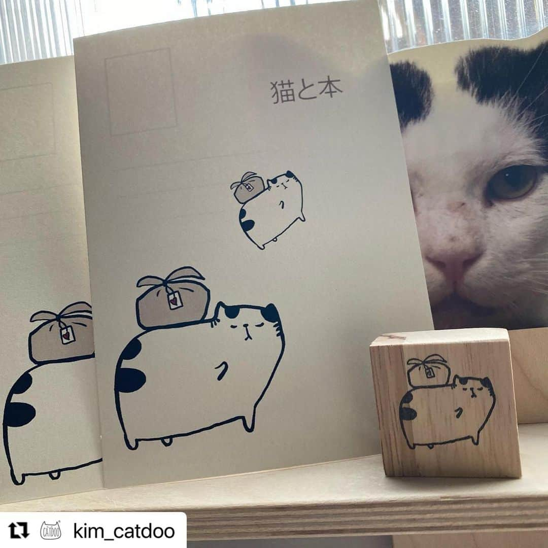 Kachimo Yoshimatsuさんのインスタグラム写真 - (Kachimo YoshimatsuInstagram)「@kim_catdoo さんの猫と本のキャラクターはナナクロからインスピレーションされています。可愛いなあ。ありがとうございます。 #うちの猫ら #nanakuro #ナナクロ #猫と本 #猫 #ねこ #cat #ネコ #catstagram #ネコ部 http://kachimo.exblog.jp」12月3日 15時18分 - kachimo