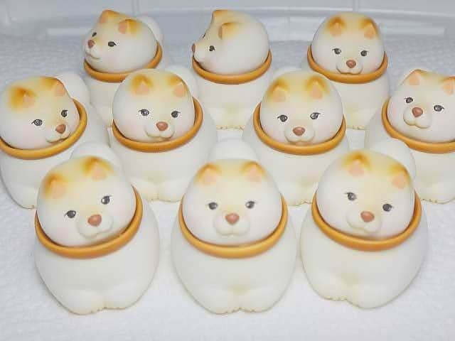 9GAGさんのインスタグラム写真 - (9GAGInstagram)「chubby doge 📹 unamuu2014  TW - #doge #shiba #9gag #wagashi #manju」12月3日 15時32分 - 9gag