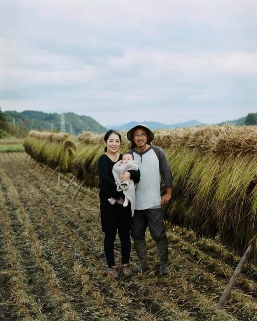 Shogoさんのインスタグラム写真 - (ShogoInstagram)「今回出店してくださる農家さん紹介します👨🏻‍🌾②  大島農園  1981年栃木県生まれ。花や野菜の生産農家、造園や花屋などの仕事につき、有機農家での1年の研修を経て、2017年、栃木県塩谷町で「大島農園」を開く。農薬・化学肥料を一切使わず約50品目の野菜と米を作る。  ----- 大島さんとはカメラマンのゴウさん @gotanabe が稲刈りに誘ってくれて出会いました。 日光に近い栃木県の山間に大島さんの田畑があります。 大島さんはとにかく優しい。 人にも自然にも。 手間がかかっても、昔の良い"こと"や"もの"を使って自然に寄り添いながらお米や野菜を育てていました。 自宅隣の踏み込み温床を見せて下さった時のキラキラした目が忘れられません。笑 そんな大島さんは今回無農薬のササニシキと古代米の餅米のお餅を出店してくださいます。  糖過多になり過ぎていない美味しいササニシキ。 古代米のお餅は、軽いのにモチモチ。たくさんいただいたのに家族でハマり過ぎて秒でなくなりました。  あ〜思い出したらもう食べたい🤤  みなさんも是非に！  @oshimanaturalfarm    〝Cape HEIGHTS presents 冬の野菜市〟 ◯日時　 12/5(土）6(日） 10〜16時 ◯場所 表参道COMMUNE 東京都港区南青山3-13」12月3日 15時39分 - shogo_velbed
