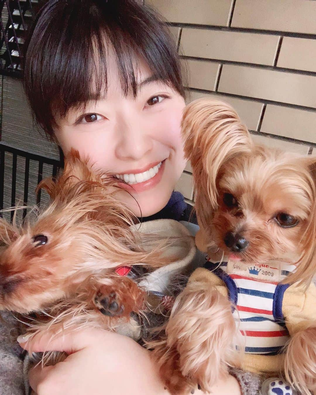 小田飛鳥のインスタグラム：「これから三人でいつもより少し長めに実家に帰ります〜🐶🐾 私はママの天ぷらを食べに、そして二人のお世話をママに任せてゲームしまくります。笑 くぅももはバァバに甘えに行きます〜🥰 #犬のいる暮らし #犬のいる生活 #ヨークシャーテリア #ヨーキー #yorkshireterrier #yorkie」