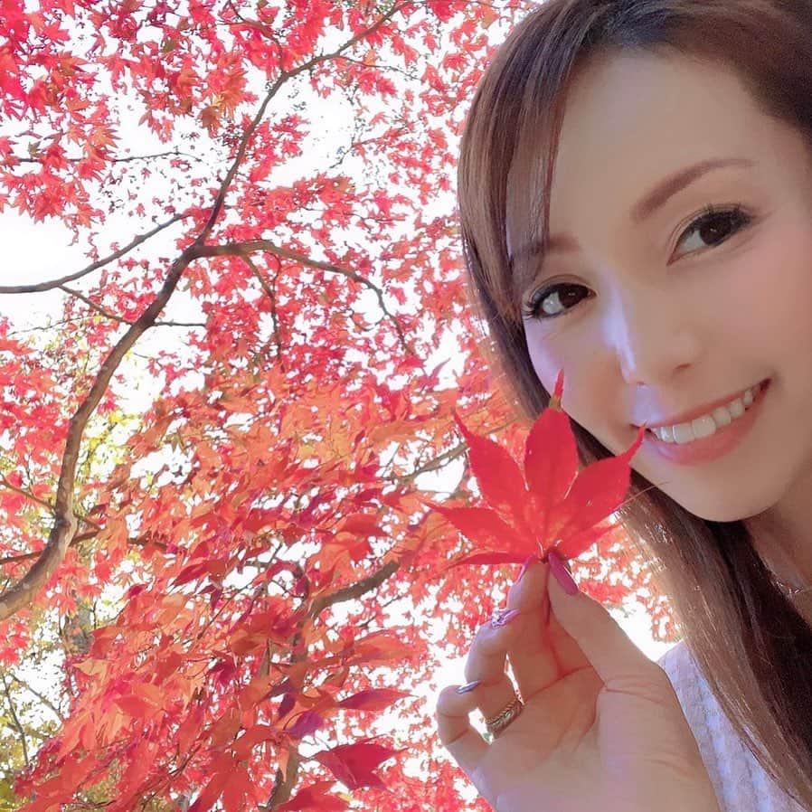 澤野井香里さんのインスタグラム写真 - (澤野井香里Instagram)「紅葉がとても綺麗〜🍁  @little_lycka_umeda で#フラットマットラッシュ のマツエクリペアを✨ by @fleur_akina   普通の3分の1の軽さで負担にならないからすごく長持ちしてくれる＾＾  西宮→0798-41-7572﻿ 神戸・大阪 →080-4240-6157 ﻿ ﻿ #ks_20✨ #ks_beauty✨﻿ #ks_osaka✨ #大阪 #梅田　#リトルリッカ　#リトルリッカ梅田　#睫毛エクステ　#大阪マツエク #マツエクデザイン」12月3日 16時25分 - kaori_sawanoi