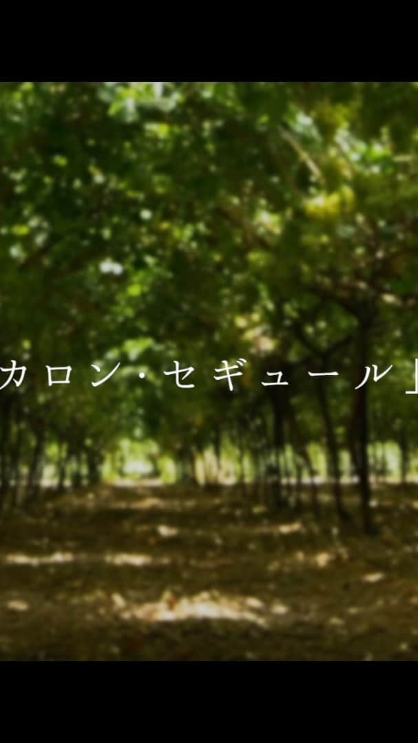 FORTUNE GARDEN KYOTOのインスタグラム：「* お付き合いの長いカップル、 子育てから手が離れたご夫婦にとっては クリスマスはどのようなお時間ですか？ 今回の動画はそんなお二人のお話です。  特別なクリスマスという機会に、 改めて感謝の気持ちを伝えるのは とても素敵なことではないでしょうか。  寄り添った時間が長いほど大切にしたい、 美味しいものを一緒に食べること。 自分の時間、自由な時間をもつこと。 コミュニケーションを忘れないこと。 そして、普段伝えられない想いを伝え、気持ちを形にすること。 そんなささやかなお手伝いができれば嬉しく思います。  大切な人に思いを馳せ、幸せを願う 素敵なひとときとなりますように。  #fortunegardenkyoto #christmasdinner #christmas #xmas #kyotogourmet #kyotogotoeat #kyoto #restaurant #french #bistro #dinner #lunch #cafe #京都ディナー #クリスマスディナー #フォーチュンガーデン京都 #京都観光 #京都グルメ #アラカルト」