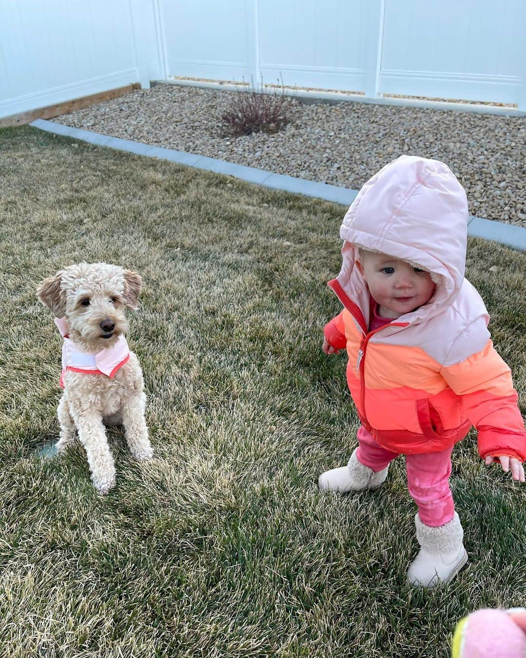 Aspyn Ovard Ferrisさんのインスタグラム写真 - (Aspyn Ovard FerrisInstagram)「Third post of the day but I just love my babies!!!!! 🐶👶🏼」12月3日 9時03分 - aspynovard