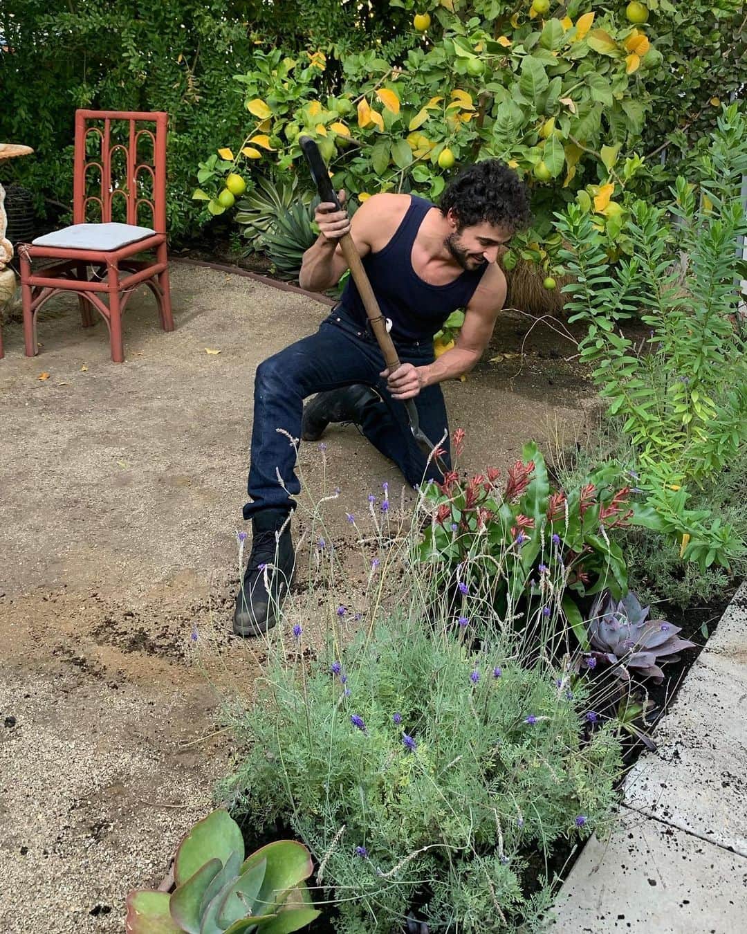 ザックポーゼンさんのインスタグラム写真 - (ザックポーゼンInstagram)「The eclectic “alien mix” that makes up  the Los Angeles horticulture Vocabulary..🤷🏻‍♂️ literally A-to-Z specimens from every tropical corner of world! . 🌿🌍🌏🌎🌴 ##inthegardenwithzac #gardeningwithzac #qtinelyfe」12月3日 9時24分 - zacposen