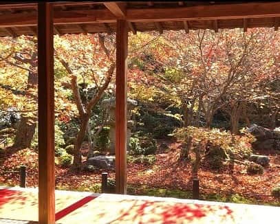 北川大介さんのインスタグラム写真 - (北川大介Instagram)「おはよう！ この季節、紅葉がとても美しいですね🍁 京都の旅は一人旅ではなく、歌手の先輩で京都在住の大林幸二さんと一緒に巡ってきました。 旅番組みたいでいいでしょ(^^) もちろん‼️YouTubeだいちゃんねるで配信しますよ〜お楽しみに！ 皆さーん！僕と一緒に京都の旅を楽しみましょう♪ こんな時だからこそ、お出かけできない方にバーチャルツアー。妄想もどうぞ(笑) 仕事合間での撮影などもありますが、色々な旅を皆さんにもお届けしたいと思います。 小さな旅🍁いい旅夢気分♪でご覧いただけたら嬉しいです。 ん？このフレーズどこかで聞いたことあるような(笑) これからも皆さんに素敵な旅をプレゼントできるように顔晴ります！ ・ ・ 【お詫び】 以前、日本歌手協会歌謡祭の放送日を12/2と12/3、そしてお正月とお伝えしました。 放送日は間違いないのですが、北川大介の出演はお正月の回のみでした。 ごめんなさい、お詫びいたします。 全ての放送とも素晴らしい日本歌手協会歌謡祭♪全てのお日にちお時間ともお見逃しなくです(^^) ・ ・ #大林幸ニ さん #京都 #紅葉 #🍁 #旅 #北川大介 #星空のツイスト #YouTube #だいちゃんねる #えくぼ #八重歯 #リーゼント #イエーイ #顔晴ろう #一生青春 #早くコロナが収束しますように」12月3日 10時00分 - kitagawadaisuke_official