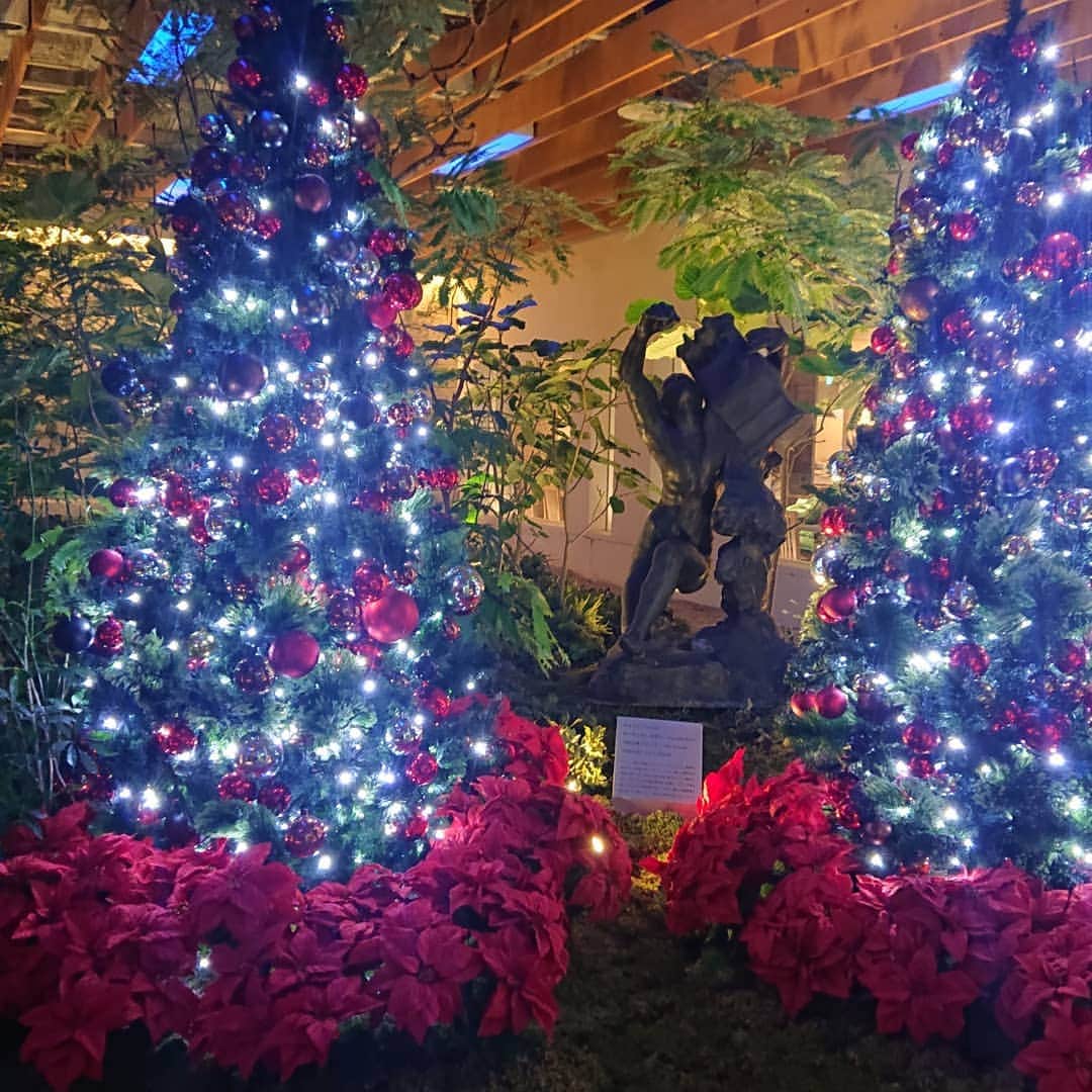 渡辺めぐみさんのインスタグラム写真 - (渡辺めぐみInstagram)「横浜ディスプレーミュージアムに、ハワイアンステンシルの川島先生と行ってきました❤️❤️❤️  めちゃくちゃ、楽しくて刺激的でした😃⤴️⤴️  先生有り難う😃⤴️⤴️  クリスマスの飾りを買いました⛄🎄✨  何かワクワクが、止まらなかったです⤴️⤴️⤴️⤴️⤴️  楽しかった😃❤️👍  #クリスマスツリー  #クリスマスの飾り  #サンタクロース  #ハワイアンステンシル  #ワクワクが止まらない  #可愛い❤️  #横浜  #横浜ディスプレイミュージアム  #instagrammer #instagramjapan  #instagramgood #instagramlike  @hawaiianstencil  @schoolcocoaloha」12月3日 10時26分 - meguheart