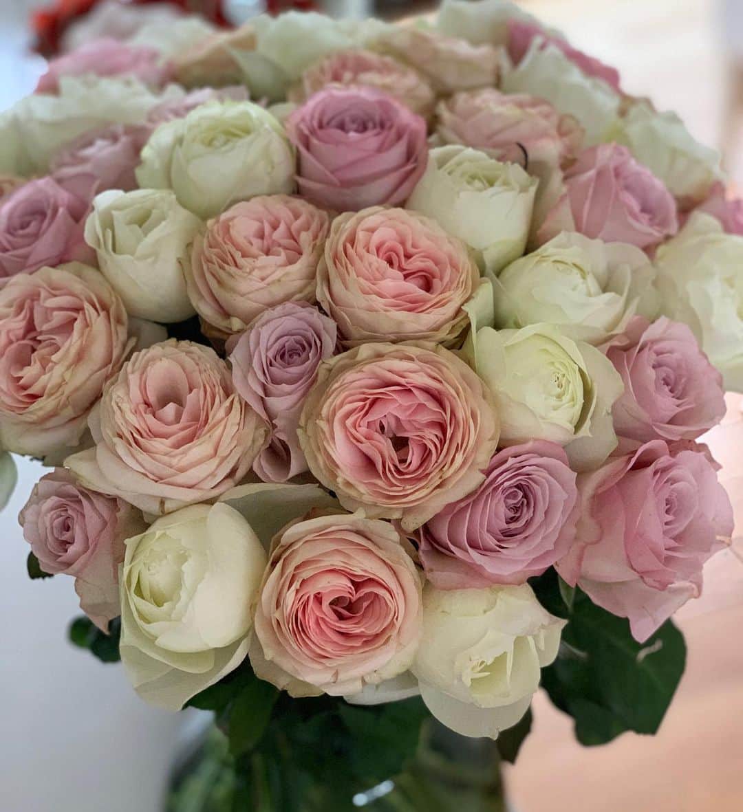 長谷川理恵さんのインスタグラム写真 - (長谷川理恵Instagram)「皆さん、たくさんのメッセージをありがとうございました！！ 昭和を共に生き、新しい時代も一緒に歩んでいけたら幸せです🌈  47本の薔薇の花束をいただきました。 この一本一本の花の様に、一瞬一瞬を 華麗に情熱的に生きていきたいものです。。。  写真二枚目、私も携わっている @anny__gift のプレゼントを初めていただきました❤️ 贈る方も楽しいけど、贈られた方はもっともっと嬉しいです！！クリスマスなどのプレゼントに是非選んでみてくださいね💫私もおすすめのものをセレクトしているので良かったらみてください。  https://anny.gift/concierge/@rie.hasegawa/  それでは皆さま、また❤️」12月3日 11時08分 - rie_hasegawa