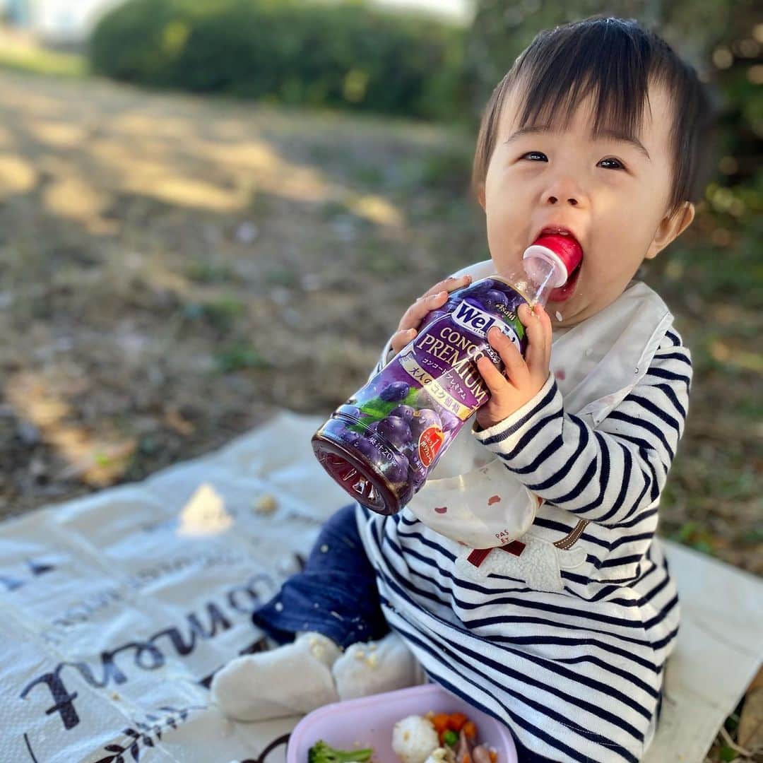 いわさきふきこ さんのインスタグラム写真 - (いわさきふきこ Instagram)「爆食娘と公園ランチ。  ※ウェルチは私の飲み物です🍇 #交通公園 #和歌山交通公園 #生後14ヶ月  #一歳お弁当」12月3日 11時14分 - fukikoiwasaki