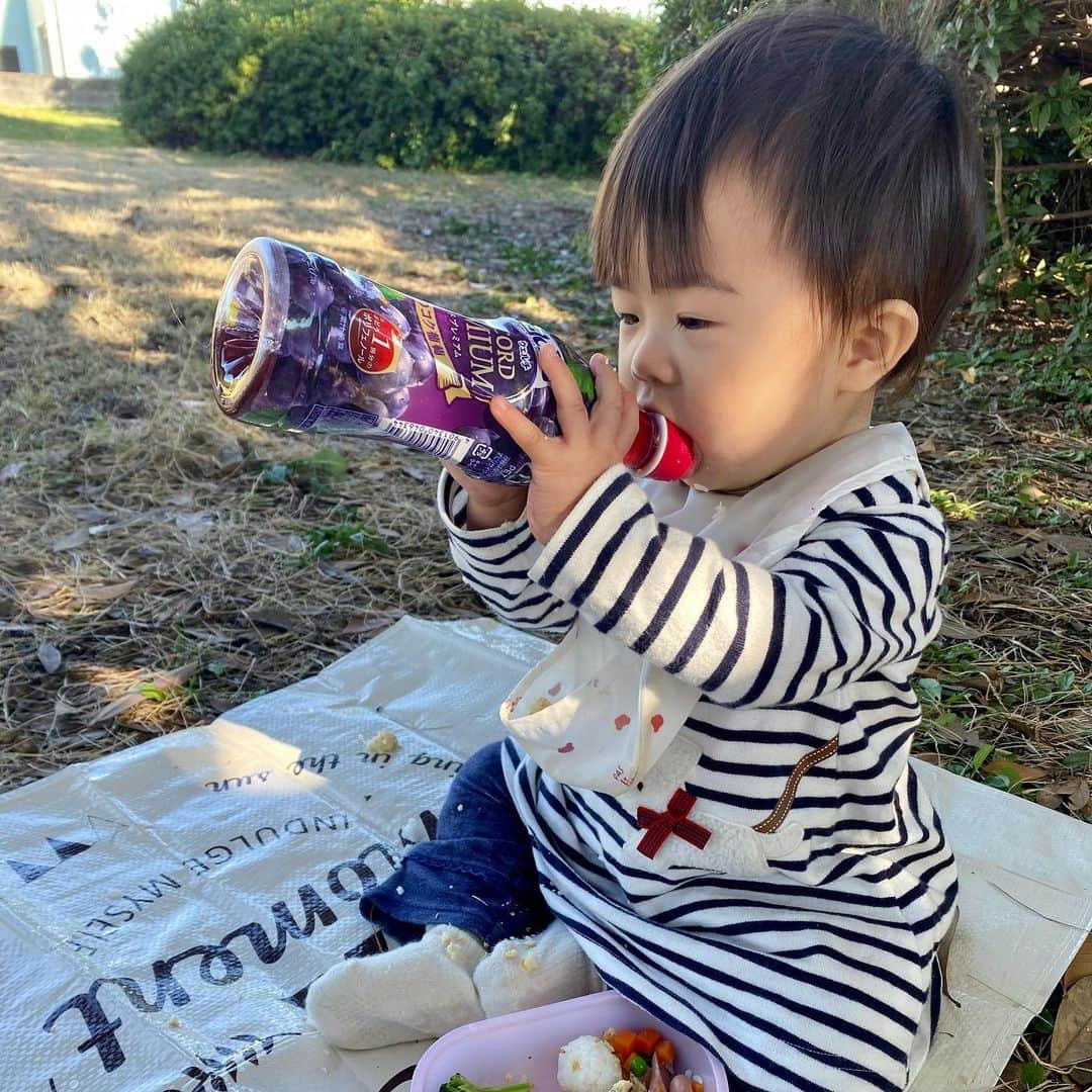 いわさきふきこ さんのインスタグラム写真 - (いわさきふきこ Instagram)「爆食娘と公園ランチ。  ※ウェルチは私の飲み物です🍇 #交通公園 #和歌山交通公園 #生後14ヶ月  #一歳お弁当」12月3日 11時14分 - fukikoiwasaki
