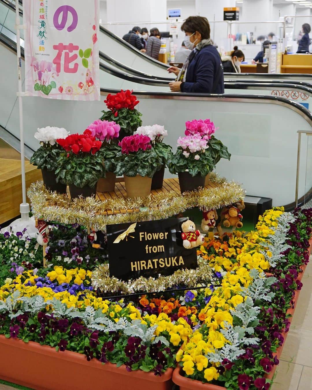 平塚市のグルメインスタ