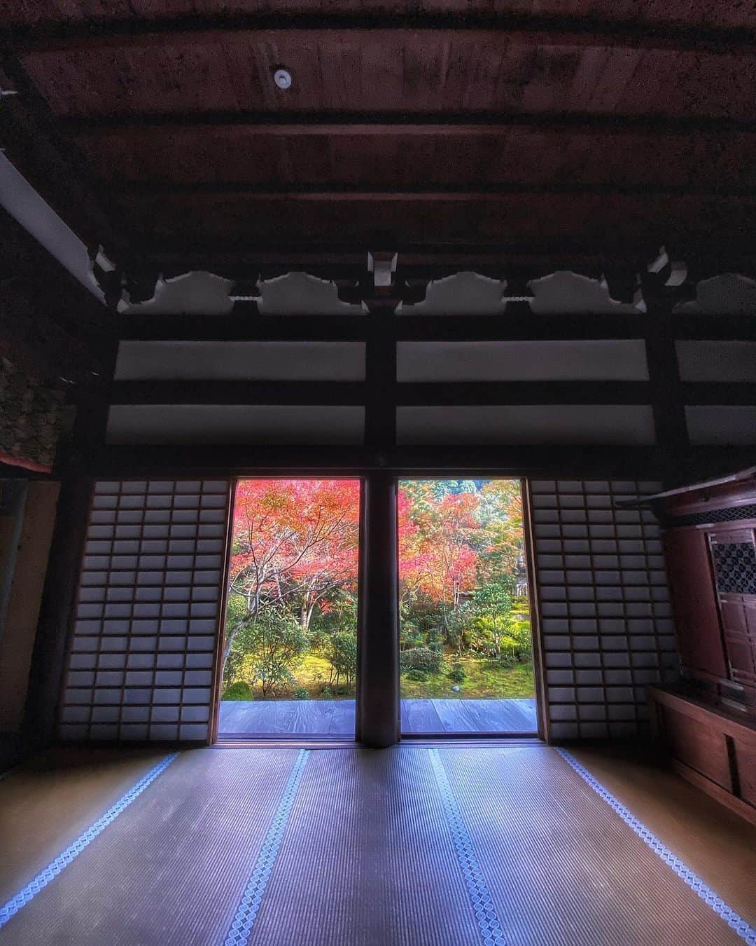 hama_aki_pppさんのインスタグラム写真 - (hama_aki_pppInstagram)「京都市右京区#西明寺　(スライドして下さい) Location Kyoto Japan (Swipe)  　 2020.11.8  　 西明寺、橋の袂の団子屋🍡(1〜2枚目)。　  　  #神社仏閣　 #寺院仏閣　 #美しい日本　 #日本庭園  #そうだ京都行こう　 #top_favorite_shots  #inspring_shot #beautiful_kansai #ig_autumn  #japanesetemple  #japanesegarden  #loves_united_japan  #special_spot_  #deaf_bestshot_japan  #otonatabi_japan  #be_one_natura #sorakataphoto  #ig_color  #ig_shotz  #rainbow_patals  #phx_flowers  #patal_perfection  #ig_myshots  #deaf_b_j_  #autumn_colors  #bestpicturesgallery  #whimlife  #9vaga9」12月3日 16時57分 - hama_aki_ppp