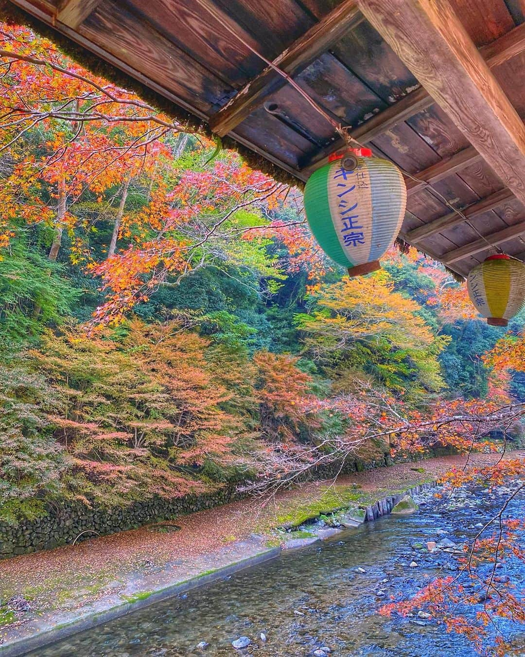 hama_aki_pppさんのインスタグラム写真 - (hama_aki_pppInstagram)「京都市右京区#西明寺　(スライドして下さい) Location Kyoto Japan (Swipe)  　 2020.11.8  　 西明寺、橋の袂の団子屋🍡(1〜2枚目)。　  　  #神社仏閣　 #寺院仏閣　 #美しい日本　 #日本庭園  #そうだ京都行こう　 #top_favorite_shots  #inspring_shot #beautiful_kansai #ig_autumn  #japanesetemple  #japanesegarden  #loves_united_japan  #special_spot_  #deaf_bestshot_japan  #otonatabi_japan  #be_one_natura #sorakataphoto  #ig_color  #ig_shotz  #rainbow_patals  #phx_flowers  #patal_perfection  #ig_myshots  #deaf_b_j_  #autumn_colors  #bestpicturesgallery  #whimlife  #9vaga9」12月3日 16時57分 - hama_aki_ppp