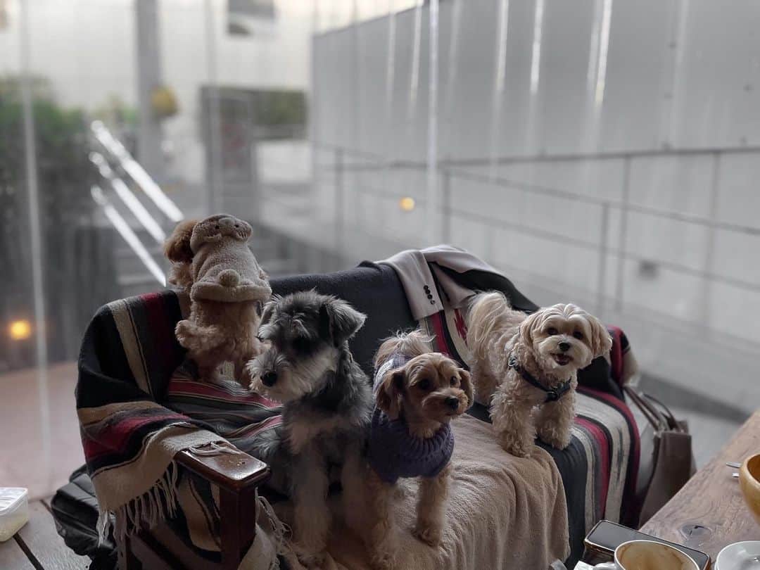 仲村美香のグルメインスタ