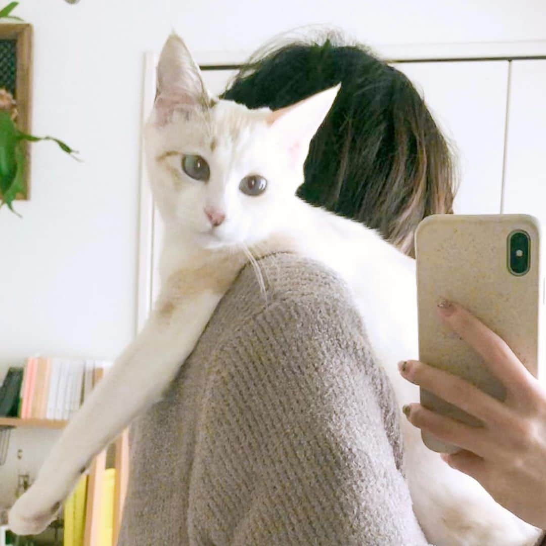 仁藤萌乃のインスタグラム