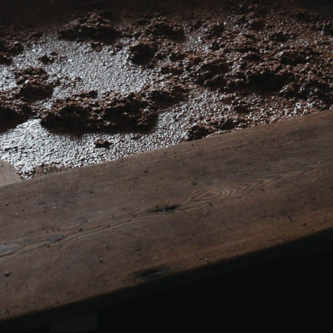 ヒラハルのグルメインスタ