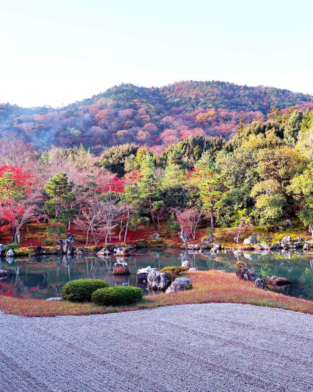 masayaさんのインスタグラム写真 - (masayaInstagram)「Sogenchi Garden Tenryuji Temple Kyoto Set against the backdrop of Arashiyama's forested mountains, it all fits together perfectly. 天龍寺 曹源池庭園 亀山と嵐山を借景に取り入れた借景式庭園は、見事に一体化しており、横から刺し込む朝日がよりそれらを美しく演出してくれます。朝イチは人が少なく落ち着いて写真が撮れます。この場所からは妙に山のラインと手前の芝のラインが合って、面白い構図になりました。」12月3日 12時16分 - moonlightice