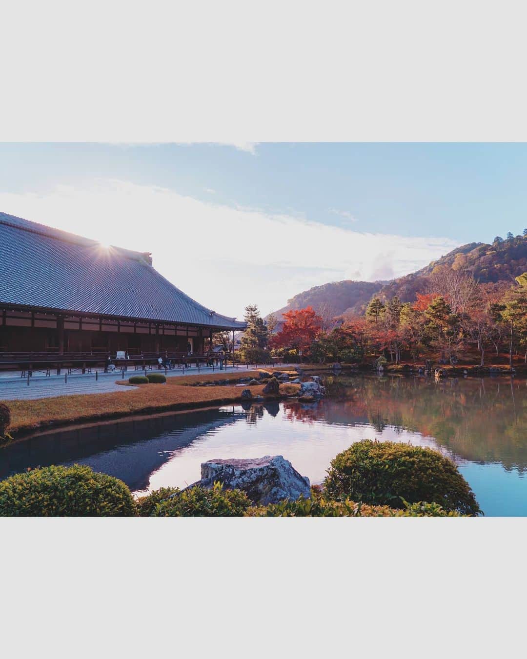 masayaさんのインスタグラム写真 - (masayaInstagram)「Sogenchi Garden Tenryuji Temple Kyoto Set against the backdrop of Arashiyama's forested mountains, it all fits together perfectly. 天龍寺 曹源池庭園 亀山と嵐山を借景に取り入れた借景式庭園は、見事に一体化しており、横から刺し込む朝日がよりそれらを美しく演出してくれます。朝イチは人が少なく落ち着いて写真が撮れます。この場所からは妙に山のラインと手前の芝のラインが合って、面白い構図になりました。」12月3日 12時16分 - moonlightice