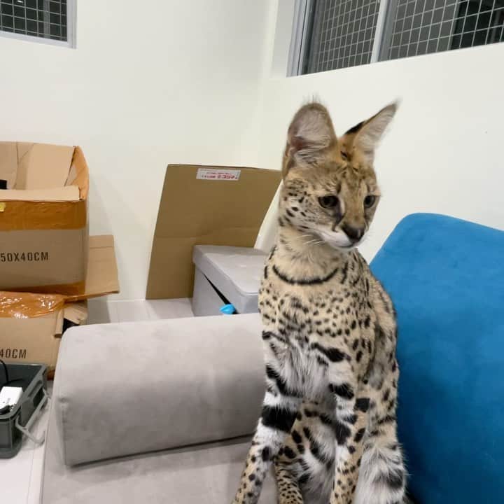 SKYtomoのインスタグラム