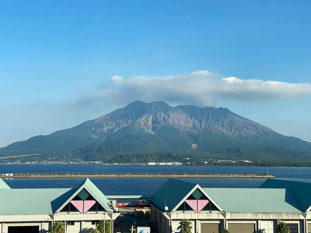 岡田彩花さんのインスタグラム写真 - (岡田彩花Instagram)「. 「 いろんな いのち」  #水族館 #ウミガメ #沈黙の海  ----------  水族館って好きなんですよね。  見えない海の底に、これだけの命がひしめきあっている。  キラキラしていて本当に綺麗。 . . それでいて深海が宇宙より解明されていないなんて、なんて神秘的。 . . だからこそ沈黙の海という作品には考えさせられたなぁ。  こういうの怖くて、無の恐ろしさをひしひしと感じるのですすす。 . . 横から見る海はこんなにも素敵なのに。  む。  ----------  そして横から見る世界を素敵に映すために、  めちゃくちゃ丁寧にガラス拭きされているおじさんも素敵に輝いておりました。  謝謝。 . . . #ジンベエザメ #深海魚 #いおワールドかごしま水族館 #鹿児島 #kagoshima #japantravel #aquarium #aquariumfish #aquariumlife #blueocean #silentsea #sea #ocean #水槽  #岡田彩花 #あやかんぬ #ayakaokada #シグマセブン #シグマセブンフェイス」12月3日 12時45分 - ayakaokada1108