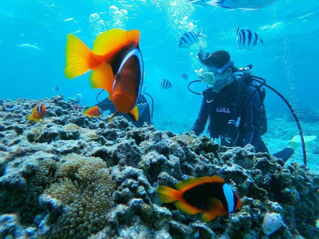 高橋茉奈のインスタグラム