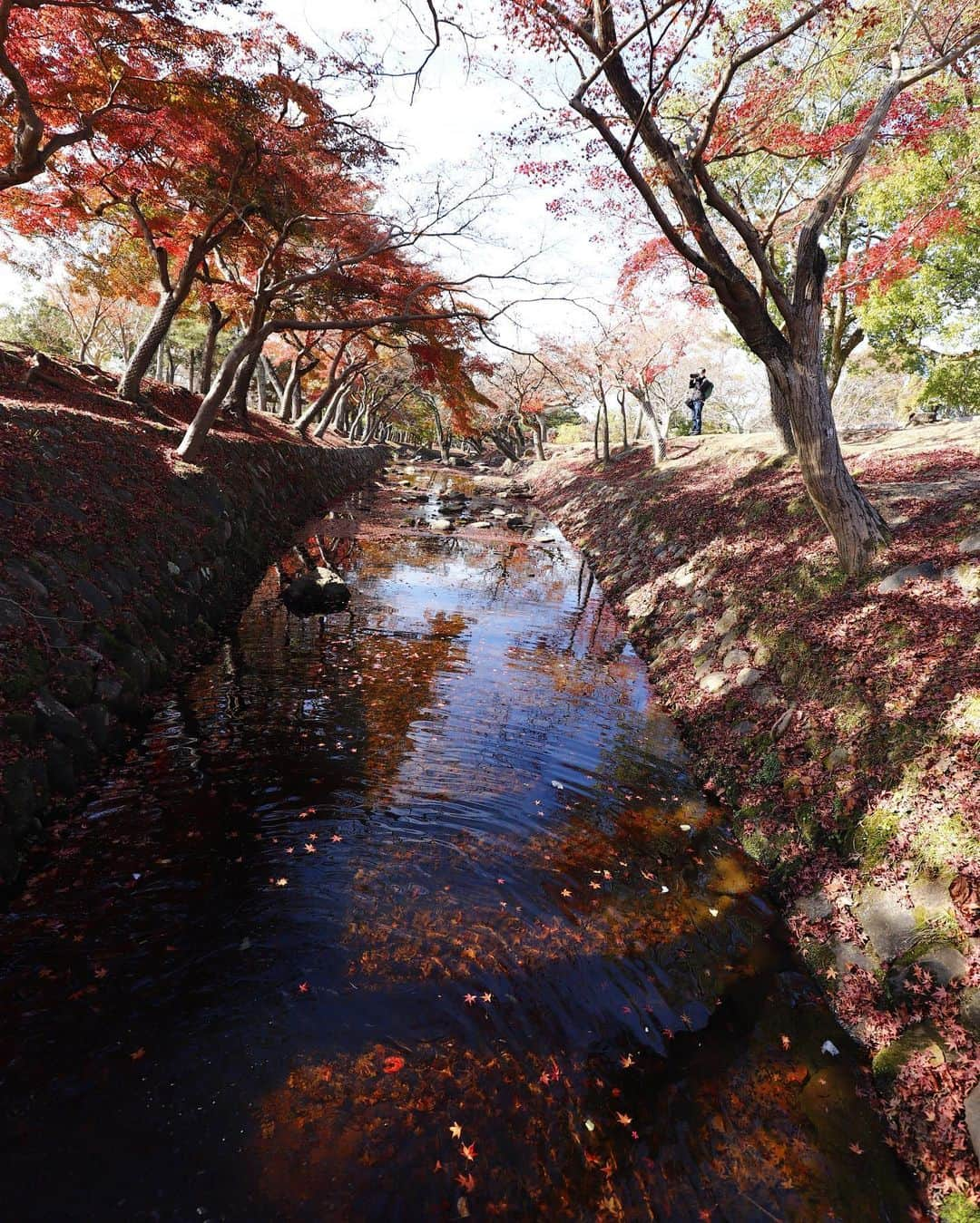 kazutakahamazatoのインスタグラム：「紅葉もコロナでなかなか行きたいところに見に行けませんね😢 人混みを避けて行ってきた紅葉です🍁  #紅葉 #hair equal #三国美容室 #三国 #キッズルーム #子連れでいける  #hair#hairstyle #スタッフ募集 #縮毛矯正が得意  #コタ #COTA #ヘアケア #駅ちか #美容室 #美容室求人 #美容師募集 #スタイリスト募集 #アシスタント募集 #メンズ  #メンズヘア #ボブ #子供カット #トリートメント  #トキオトリートメント #酸性ストレート  #酸性デジタルパーマ #ヘアドネーション #写真好きな人と繋がりたい」