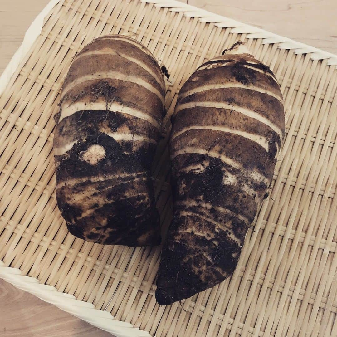 西山由さんのインスタグラム写真 - (西山由Instagram)「Patate Ebi d'originaire de Kyoto.」12月3日 14時39分 - jesuis_yui