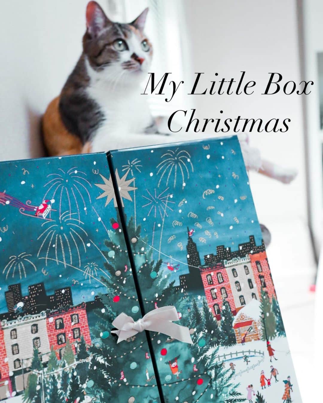 Gabrielaさんのインスタグラム写真 - (GabrielaInstagram)「My Little Box Xmas ❤️ So cute💕 . . . #mylittlebox #xmas #gift #christmas #natal #マイリトルボックス　#クリスマス　#クリスマスギフト」12月3日 15時06分 - rkgabriela