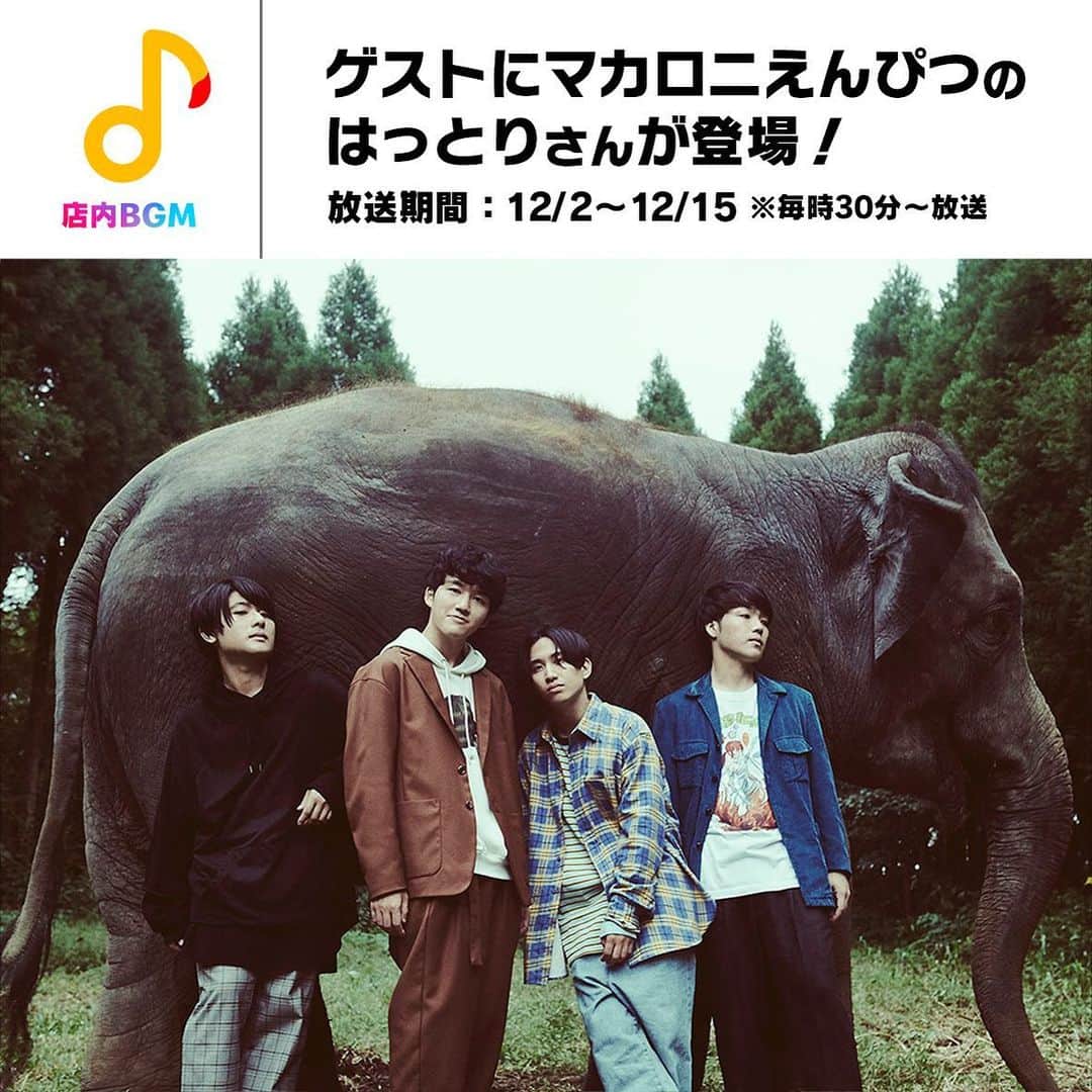のインスタグラム：「_  マクドナルド店内BGM【#ミュージックバリュー】にvoはっとりが出演しています❣️🍔🍟🙌✨  マクドナルドの思い出やメジャー1st EP『愛を知らずに魔法は使えない』についてのスペシャルトークで店内を盛り上げます🎙🙈💕  ※放送期間: 12/2(水)〜12/15(火) 毎時30分〜放送  詳細 ▶︎ w.mdj.jp/1a13yk  #グラコロ #マクドナルド #マカロニえんぴつ」