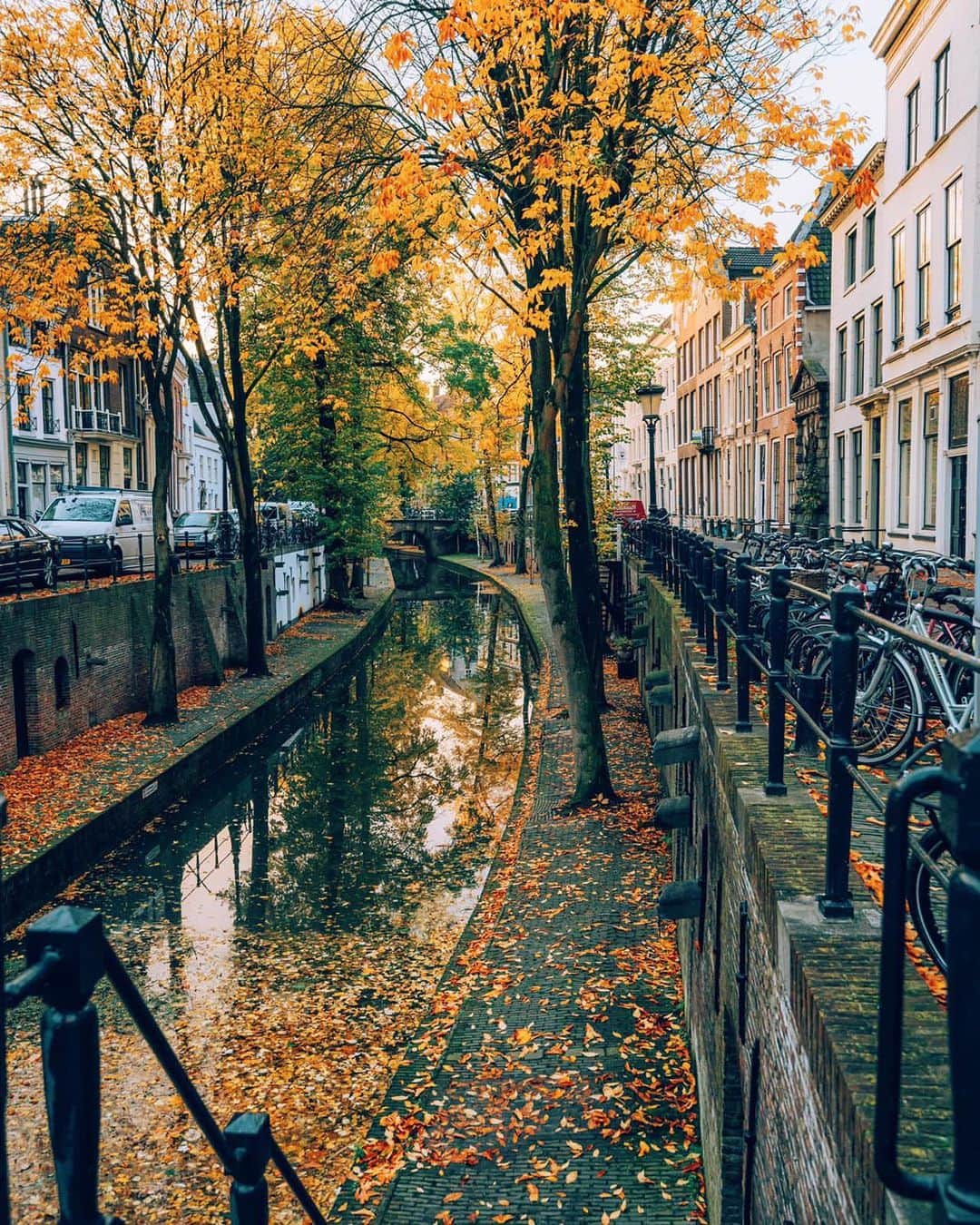 Canon Photographyさんのインスタグラム写真 - (Canon PhotographyInstagram)「Autumn in the Netherlands by @davideor94 Curated by @ianharper」12月4日 0時40分 - cpcollectives