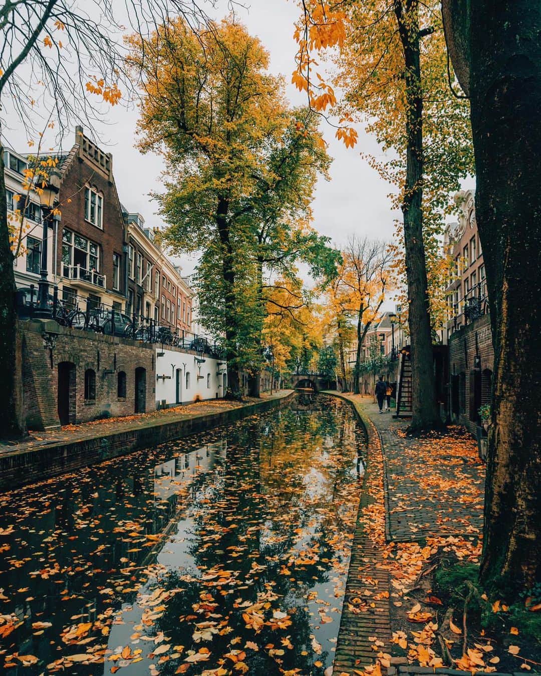 Canon Photographyさんのインスタグラム写真 - (Canon PhotographyInstagram)「Autumn in the Netherlands by @davideor94 Curated by @ianharper」12月4日 0時40分 - cpcollectives