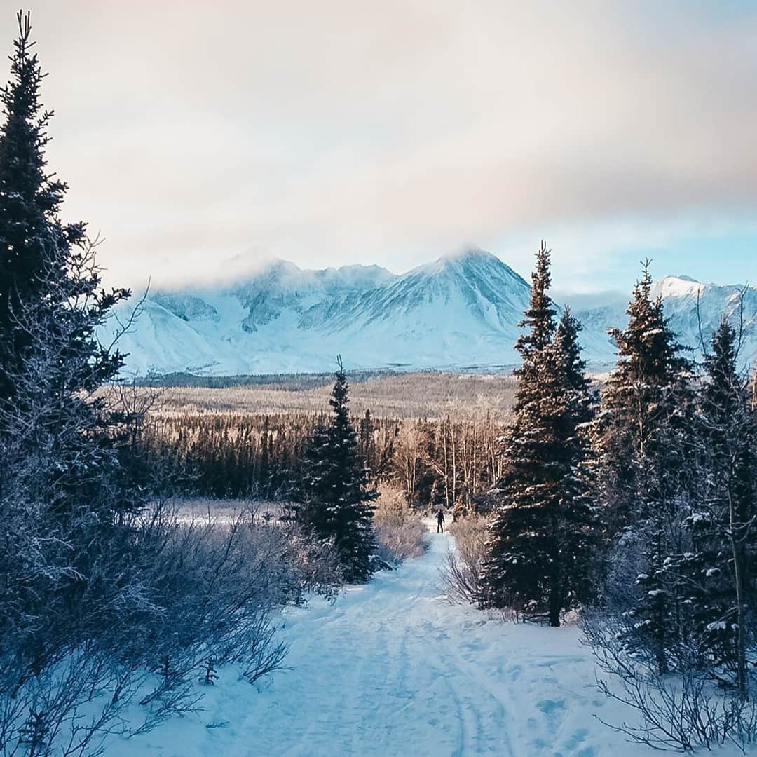 Explore Canadaのインスタグラム：「Majestic mountains stretch to the sky on a snowy hike in Yukon’s many wide open spaces. 🏔️⁠ ⁠ What’s your favourite place in Canada for a nice winter hike?⁠ ⁠ *Know before you go! Check the most up-to-date travel restrictions and border closures before planning your trip and if you're travelling in Canada, download the COVID Alert app to your mobile device.*⁠ ⁠ 📷: @maurineforlin⁠ 📍: @travelyukon⁠ ⁠ #ExploreCanada #CanadaNice」