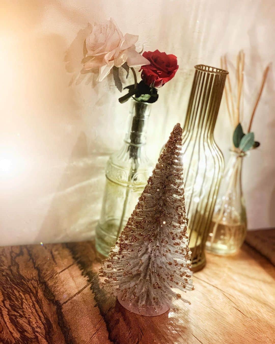 薗田杏奈さんのインスタグラム写真 - (薗田杏奈Instagram)「🎄#christmas もうすぐだね🔔」12月4日 0時55分 - love.byanna