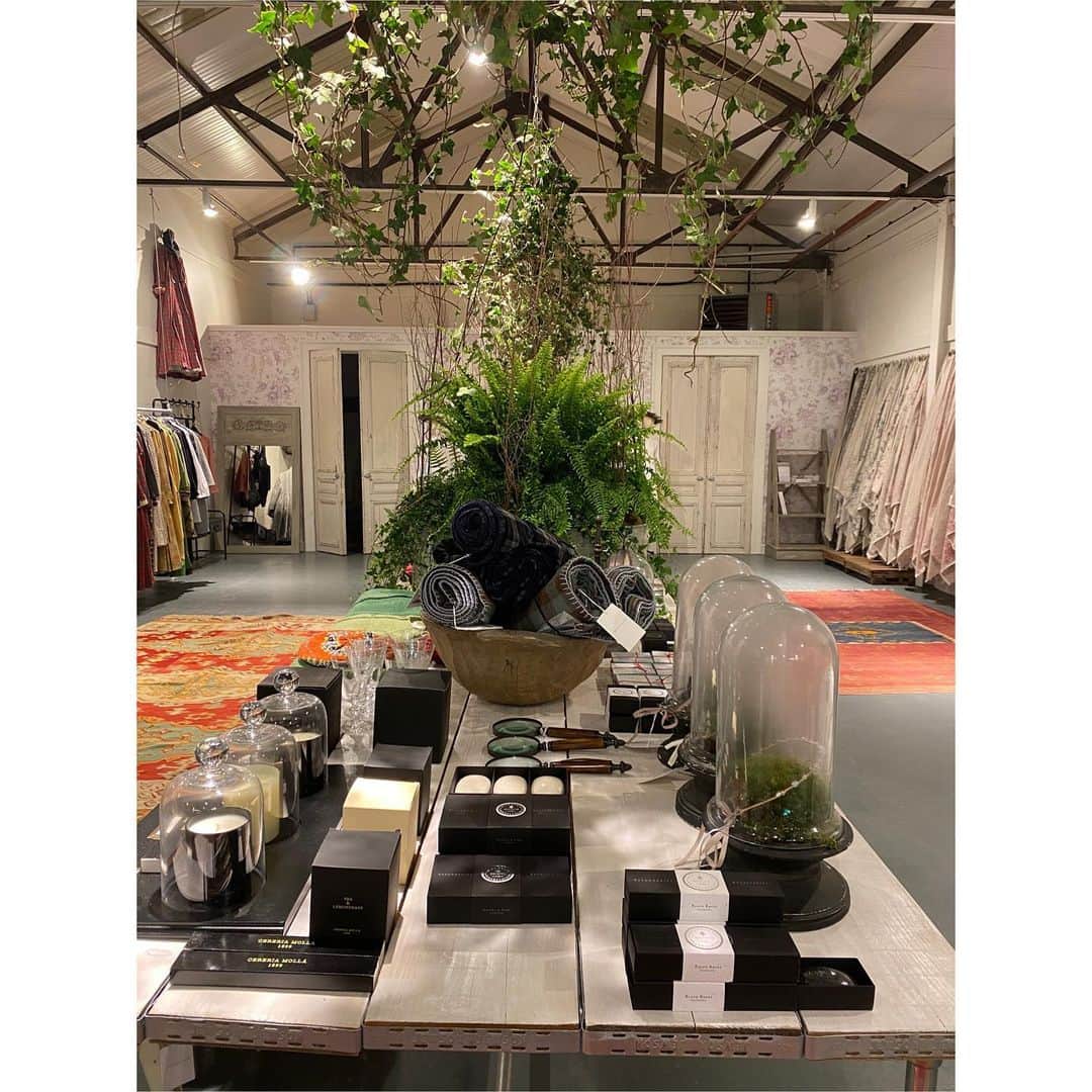 キャベジズ&ローゼズのインスタグラム：「Introducing our brand new shiny shop in Bruton. Stocking the whole collection of fabric, fashion, gifts and home. Situated in the town of Bruton in Somerset alongside some of the best independent shops, restaurants and businesses in the U.K. @cabbagesandroses_shop @christina_strutt @brutonhighstreet @brutonsomerset. We can’t wait to see you here! #shopindependent #shoplocal #somerset #somersetlife #brutonhighstreet #bruton #shopsmallbusiness #newshop #flagship #cabbagesandroses #cabbagesandrosesfabric #cabbagesandrosesfashion #cabbagesandrosesinteriors」