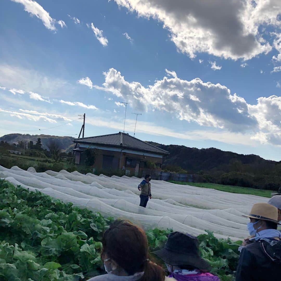 Shogoさんのインスタグラム写真 - (ShogoInstagram)「今回出店してくださる農家さん紹介します👨🏻‍🌾⑤  NO-RA 〜農楽〜  2009年に美しい河川と自然に囲まれた神奈川県愛川町で新規就農しました。 今では、3.5haの土地でオーガニックでお野菜を育てています。 私たちの畑で採れた野菜は、余計なものは一切使用せず元気に育ちました。 野菜を育てるにあたって重点を置いていることは旬や適地適作を守ること。 できるだけ肥料を減らし、元気な野菜を育てています。 食べ物である以上、安心安全などというものは当たり前だと思います。 見て綺麗、食べておいしいを追求し続けます。人を笑顔にする野菜を目指しています。  ーーーーー  HATAKEYAのお師匠さんです。 そして、すごい巡り合わせで、奇跡的に自分が通うアグリイノベーション大学校の先生でもあるので、自分の師でもあります。w  千葉さんは、有機農法の有名な方でたくさんの有機農家さんをNOーRAから輩出しています。  なのでもう、余計な事は書きません！笑 とにかくとにかく野菜が元気です！！ めちゃうまいです！！ 千葉さんが1番楽しそうです！笑  是非手にとって見てみてください！！  ーーーーー   〝Cape HEIGHTS presents 冬の野菜市〟 ◯日時　 12/5(土）6(日） 10〜16時 ◯場所 表参道COMMUNE 東京都港区南青山3-13」12月4日 1時29分 - shogo_velbed