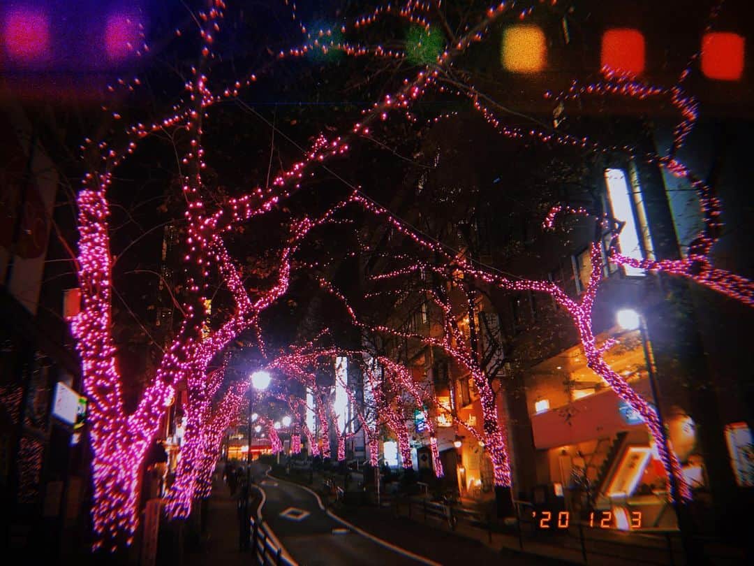 奥村佳恵のインスタグラム：「🎄💖 #christmaslights」