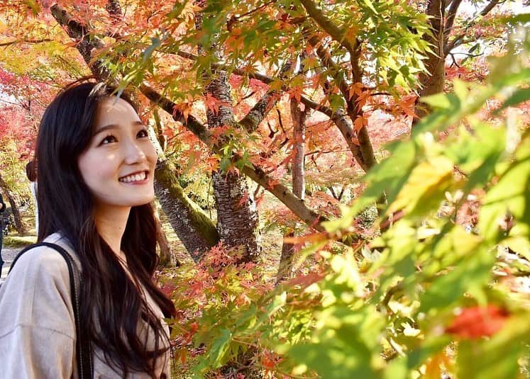 野口真未のインスタグラム：「・ ・ 永観堂の紅葉🍁 とってもきれいでした🥰 ・ ・」