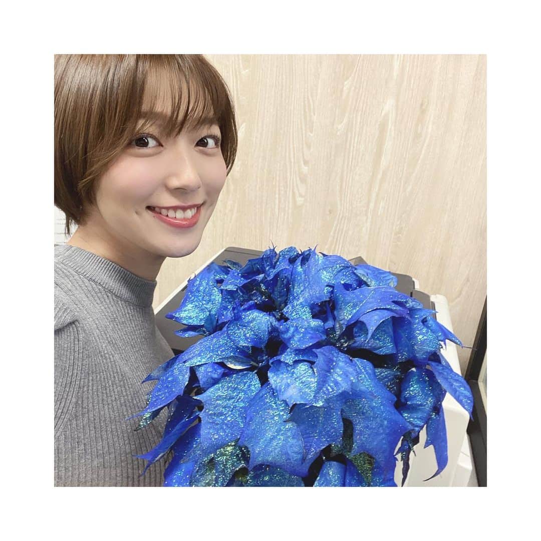 のインスタグラム：「♪  お花💙  松任谷由実さんの新しいアルバムの色と同じ色🐬  深海のブルーです💙  #深海ブルー #お花 #めざましテレビ」