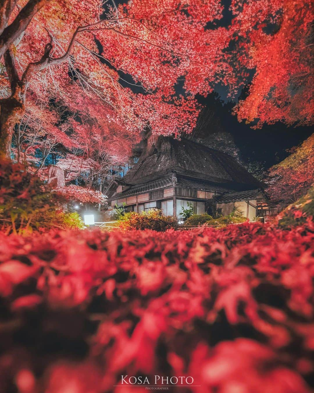 コサさんのインスタグラム写真 - (コサInstagram)「教林坊のライトアップは実は初めて😆 . Location:滋賀 Shiga / Japan🇯🇵 Date:2020年11月 . #教林坊 #滋賀 #紅葉 #jalan_kouyou2020 #楽天トラベル映えフォト #japan_night_view_member #しがトコ #japan_of_insta #sorakataphoto #light_nikon #art_of_japan_ #tokyocameraclub #dpj_member #team_jp_ #IG_PHOS #photo_jpn #ptk_japan #pt_life_ #bestjapanpics #Lovers_Nippon #YourShotPhotographer #LBJ_Legend #広がり同盟メンバー #nipponpic_member #special_spot_legend #s_shot #bestphoto_japan #Rox_Captures #kf_gallery_vip #1x_japan」12月3日 17時42分 - kosa_photo