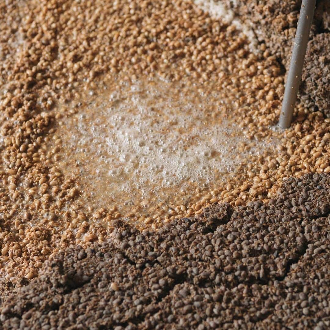 ヒラハルのグルメインスタ