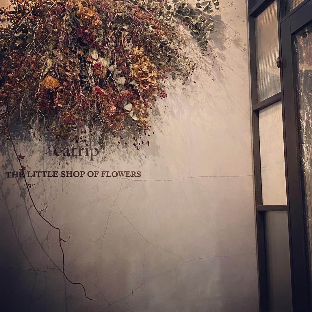 広崎うらんさんのインスタグラム写真 - (広崎うらんInstagram)「もうひとつの森🌲 原宿にこんな素敵な一角があるのです❤️レストラン併設の花屋さんでブルーアイスやら杉やらモミやら癒される香りの木々を買いました🥰eatripには大切な友達と今度訪れます♡  @eatripjournal  #野村友里 #eatrip #大好きな場所 #針葉樹が好き」12月3日 17時53分 - uranhirosaki